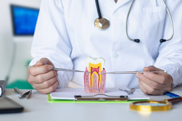 Best Emergency Root Canal Treatment in Bartlett, TX